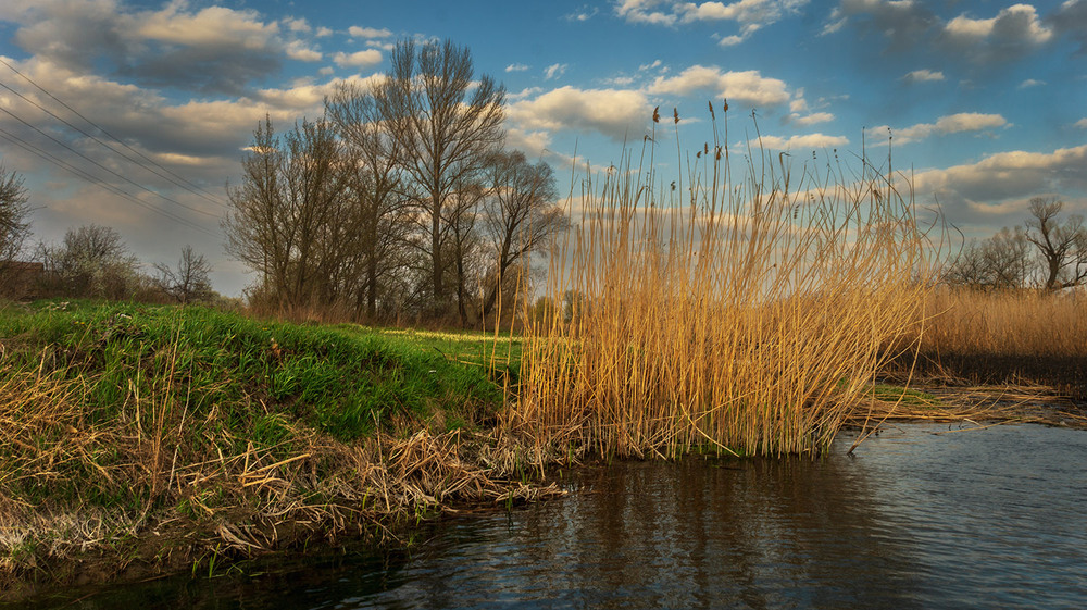 Фотографія *** / Сергій Кузьма / photographers.ua