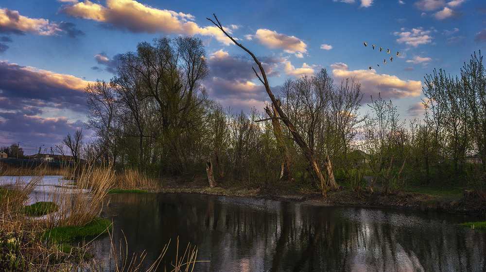 Фотографія *** / Сергій Кузьма / photographers.ua