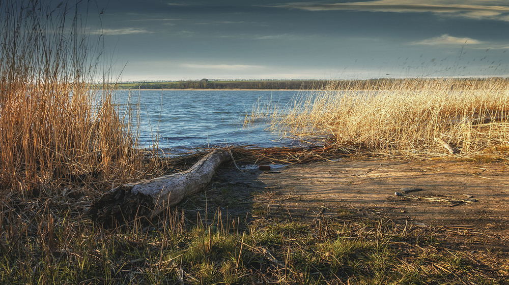 Фотографія *** / Сергій Кузьма / photographers.ua