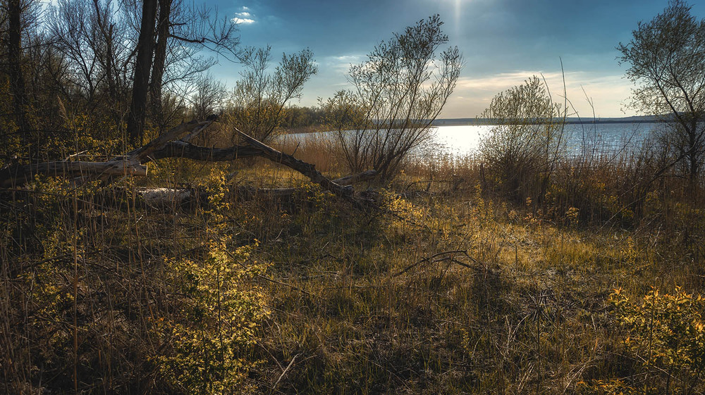 Фотографія *** / Сергій Кузьма / photographers.ua