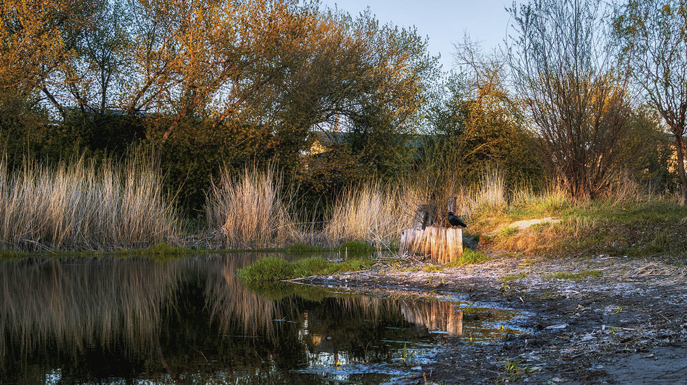 Фотографія *** / Сергій Кузьма / photographers.ua