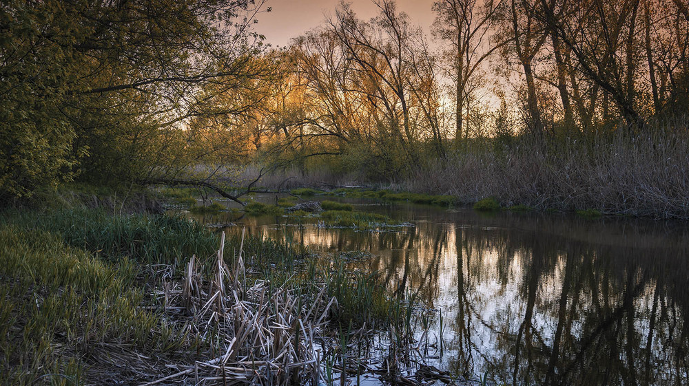 Фотографія *** / Сергій Кузьма / photographers.ua