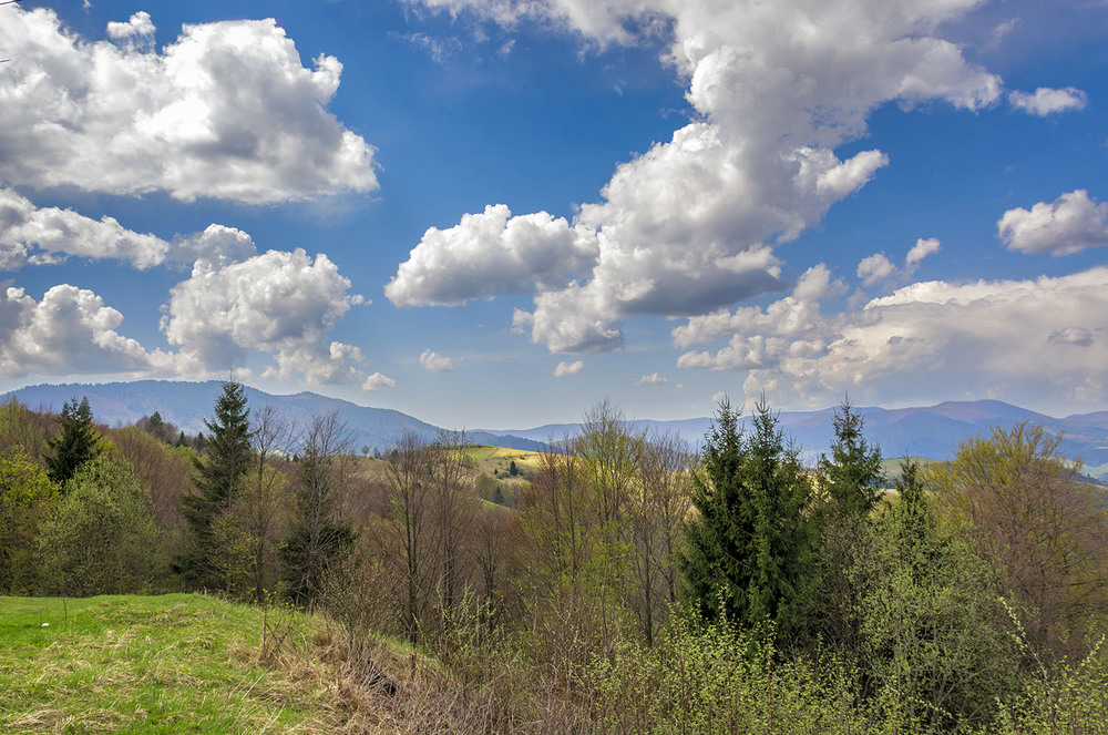 Фотографія *** / Сергій Кузьма / photographers.ua