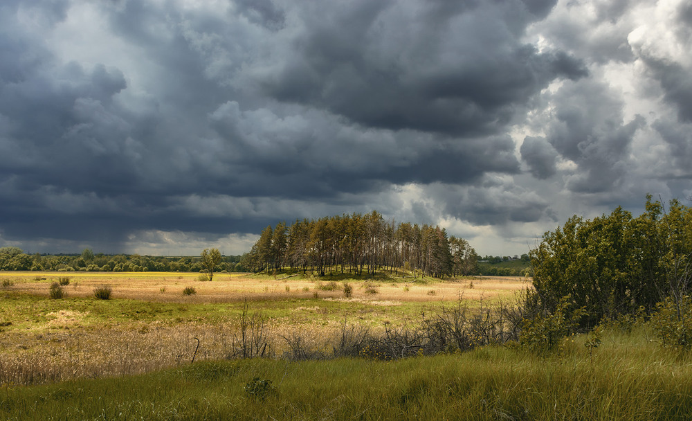Фотографія *** / Сергій Кузьма / photographers.ua
