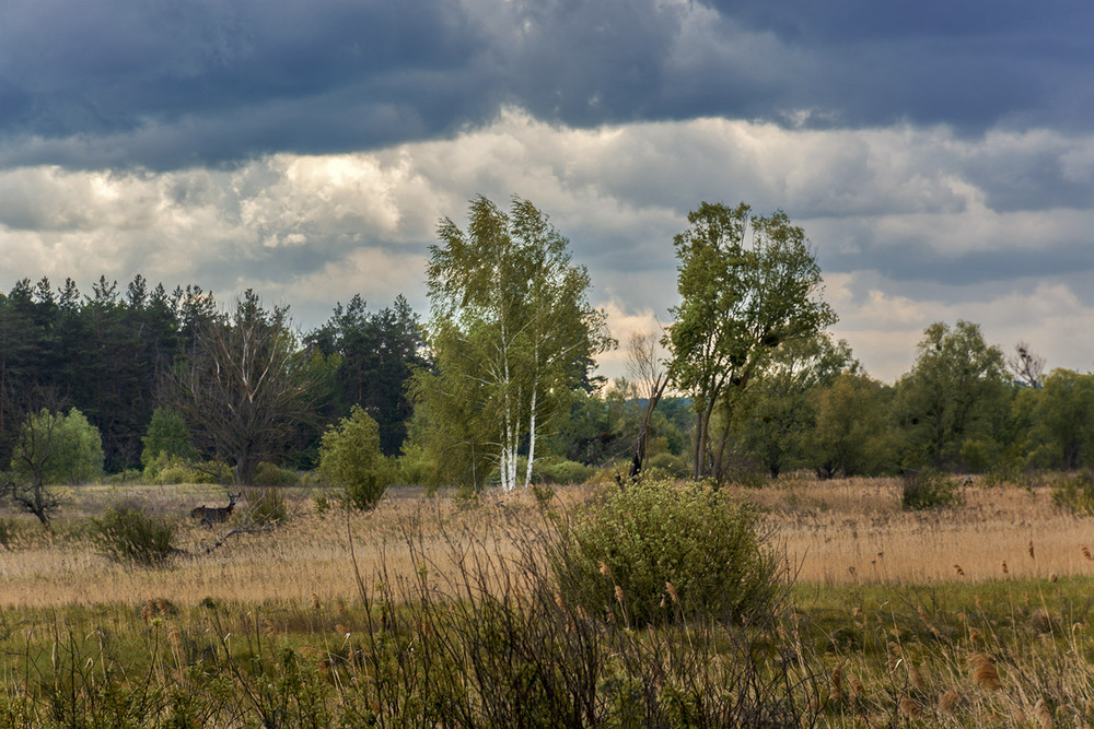 Фотографія *** / Сергій Кузьма / photographers.ua