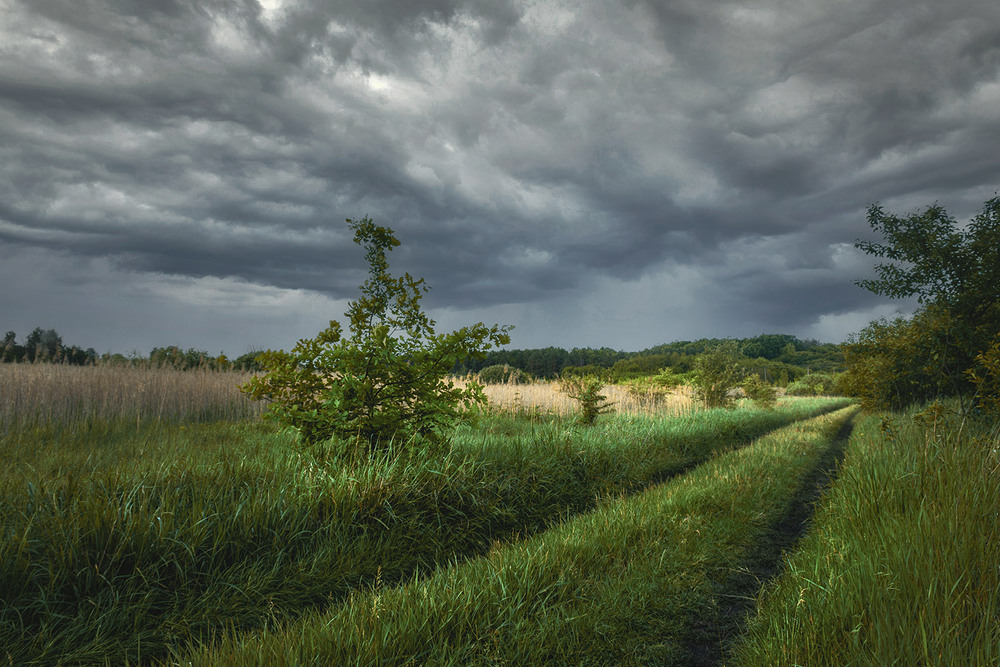 Фотографія *** / Сергій Кузьма / photographers.ua