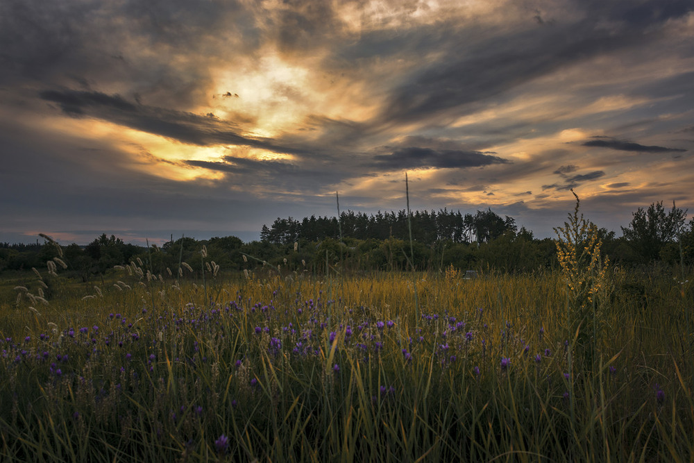 Фотографія *** / Сергій Кузьма / photographers.ua