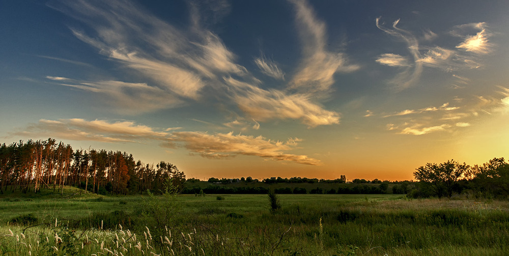 Фотографія *** / Сергій Кузьма / photographers.ua
