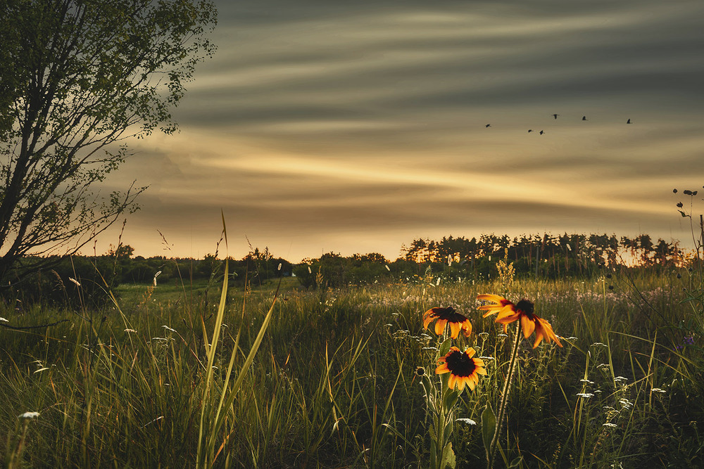 Фотографія *** / Сергій Кузьма / photographers.ua