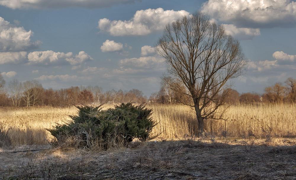 Фотографія *** / Сергій Кузьма / photographers.ua