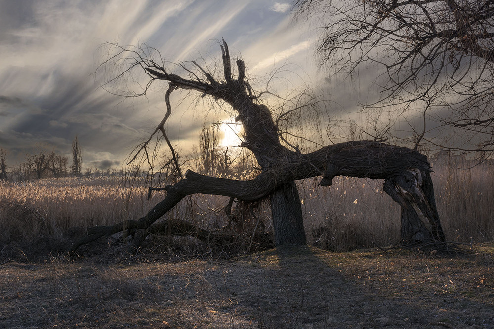 Фотографія *** / Сергій Кузьма / photographers.ua