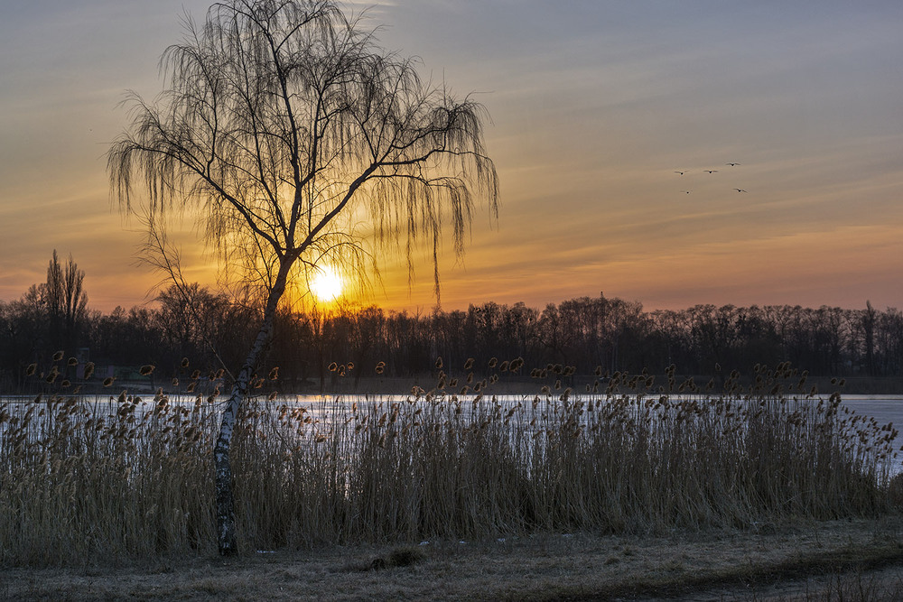 Фотографія *** / Сергій Кузьма / photographers.ua