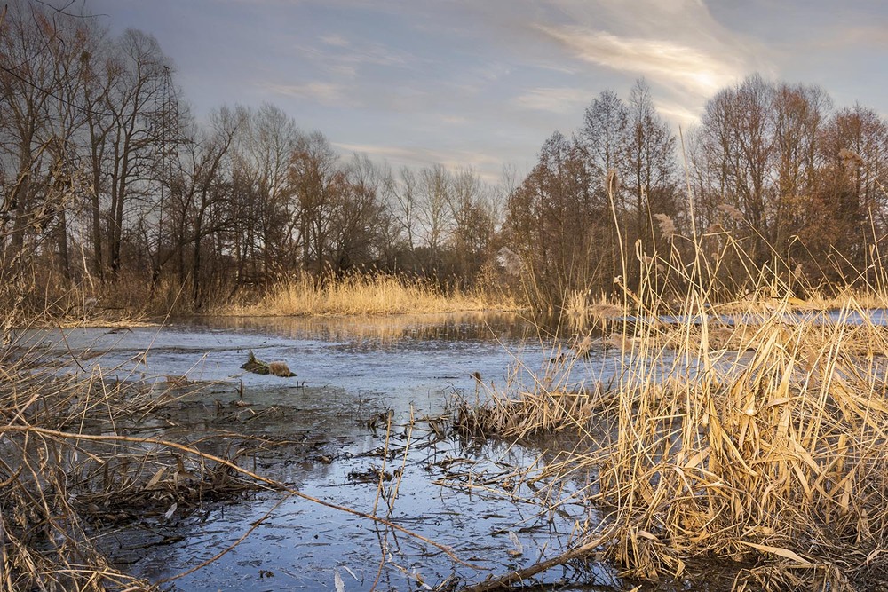 Фотографія *** / Сергій Кузьма / photographers.ua