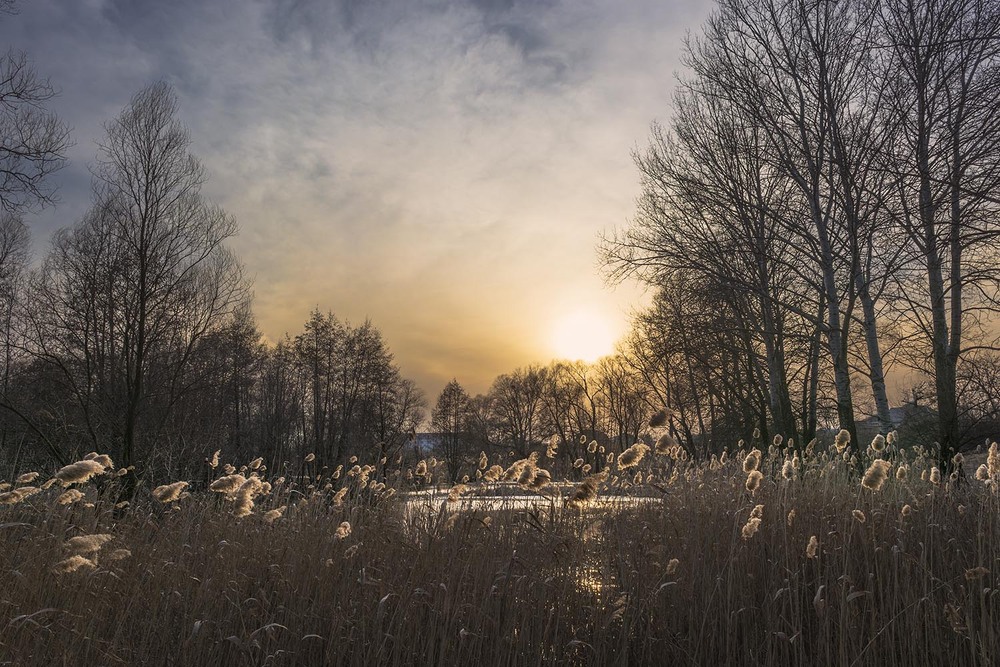 Фотографія *** / Сергій Кузьма / photographers.ua