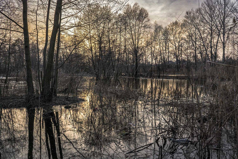 Фотографія *** / Сергій Кузьма / photographers.ua