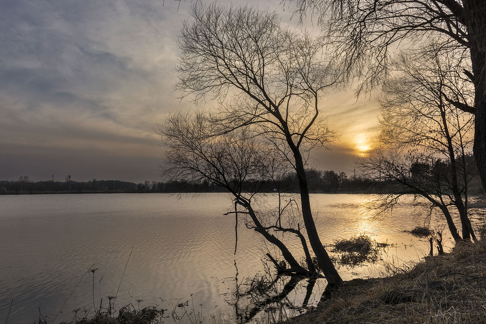 Фотографія *** / Сергій Кузьма / photographers.ua