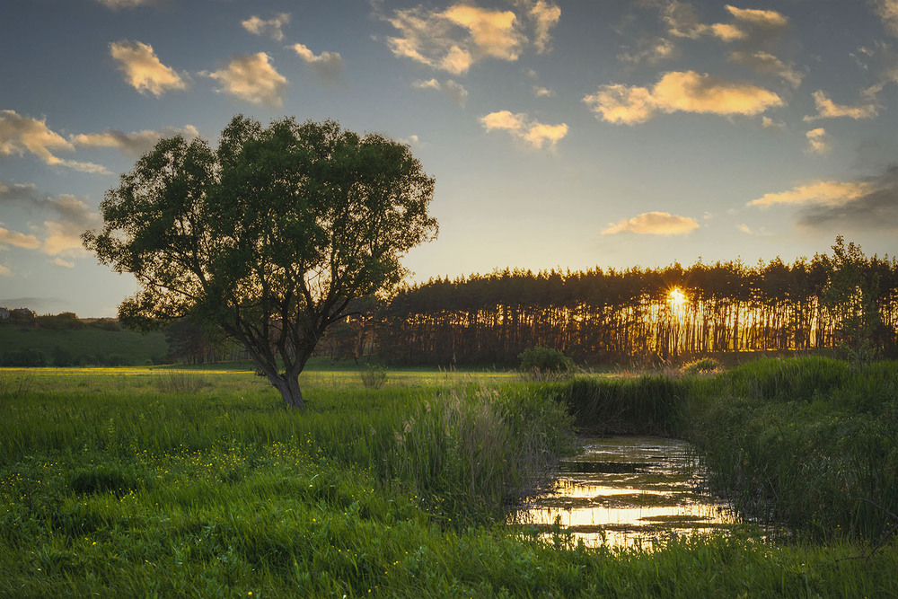 Фотографія *** / Сергій Кузьма / photographers.ua