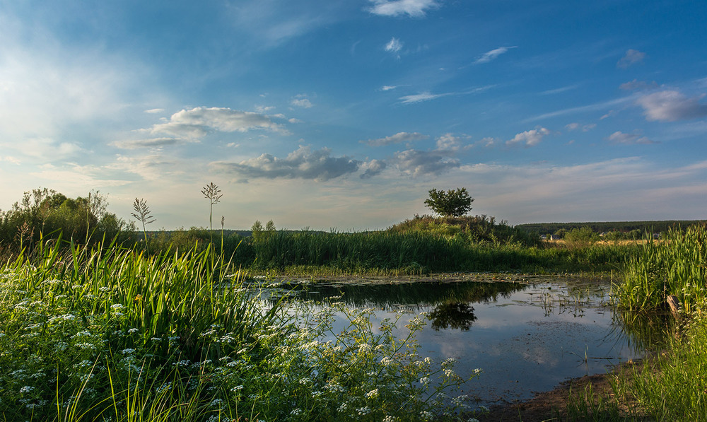 Фотографія *** / Сергій Кузьма / photographers.ua