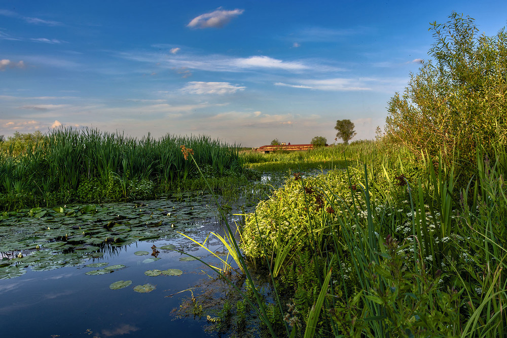 Фотографія *** / Сергій Кузьма / photographers.ua