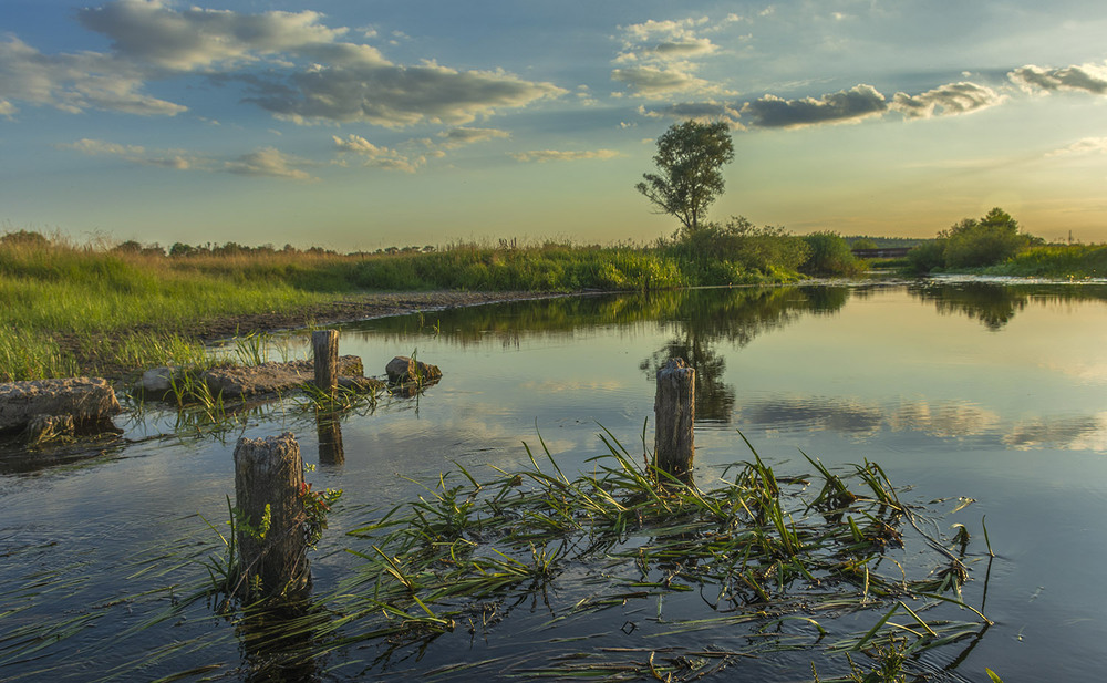 Фотографія *** / Сергій Кузьма / photographers.ua