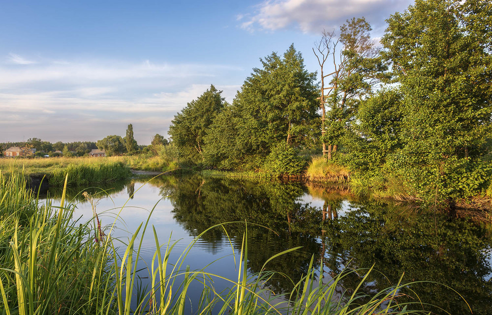 Фотографія *** / Сергій Кузьма / photographers.ua
