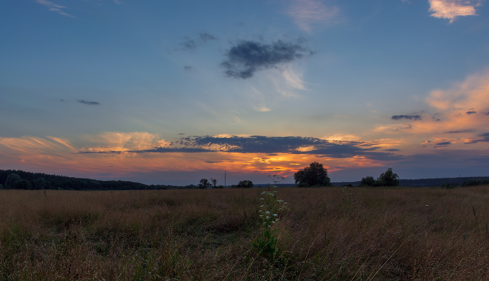 Фотографія *** / Сергій Кузьма / photographers.ua