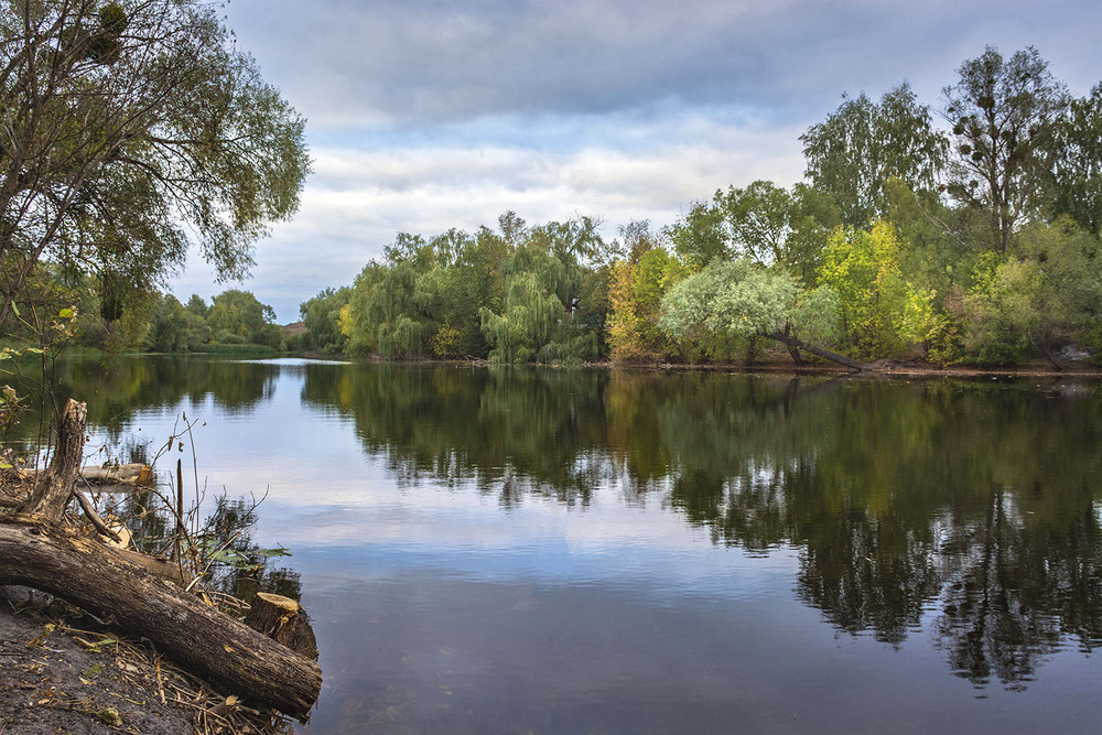Фотографія *** / Сергій Кузьма / photographers.ua