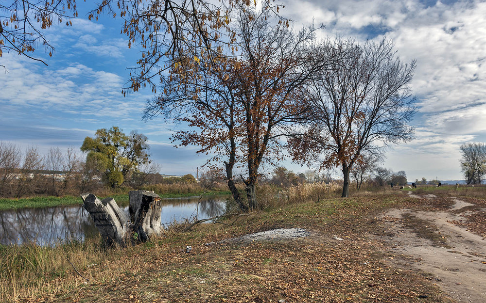 Фотографія *** / Сергій Кузьма / photographers.ua