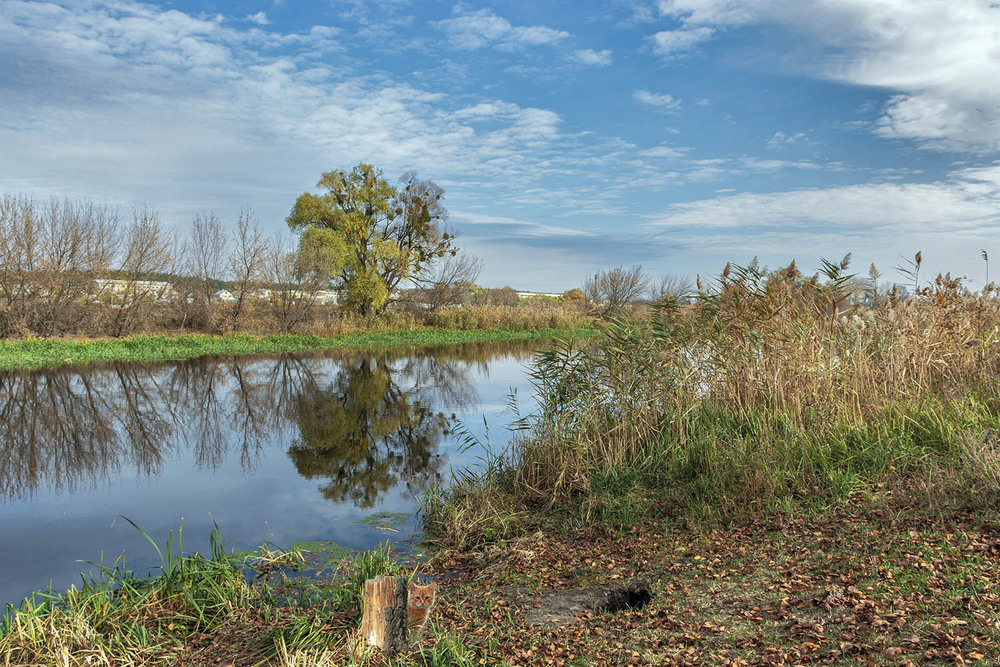 Фотографія *** / Сергій Кузьма / photographers.ua