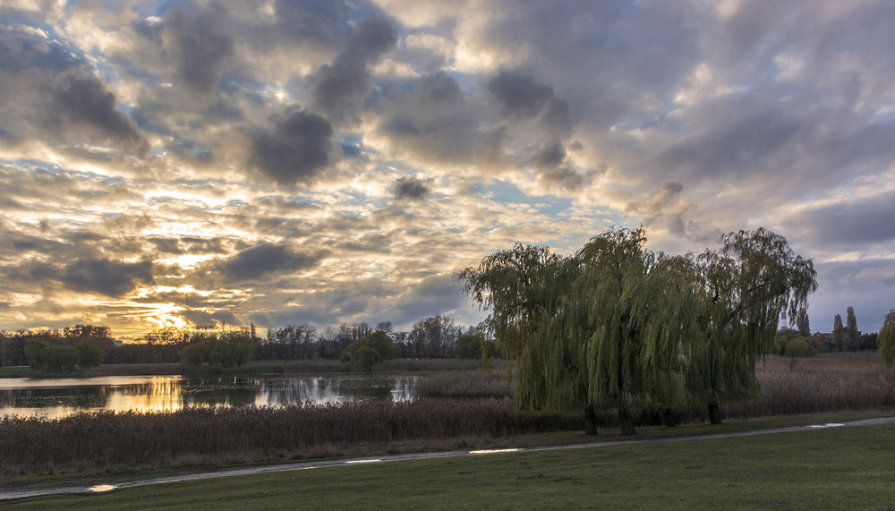 Фотографія *** / Сергій Кузьма / photographers.ua