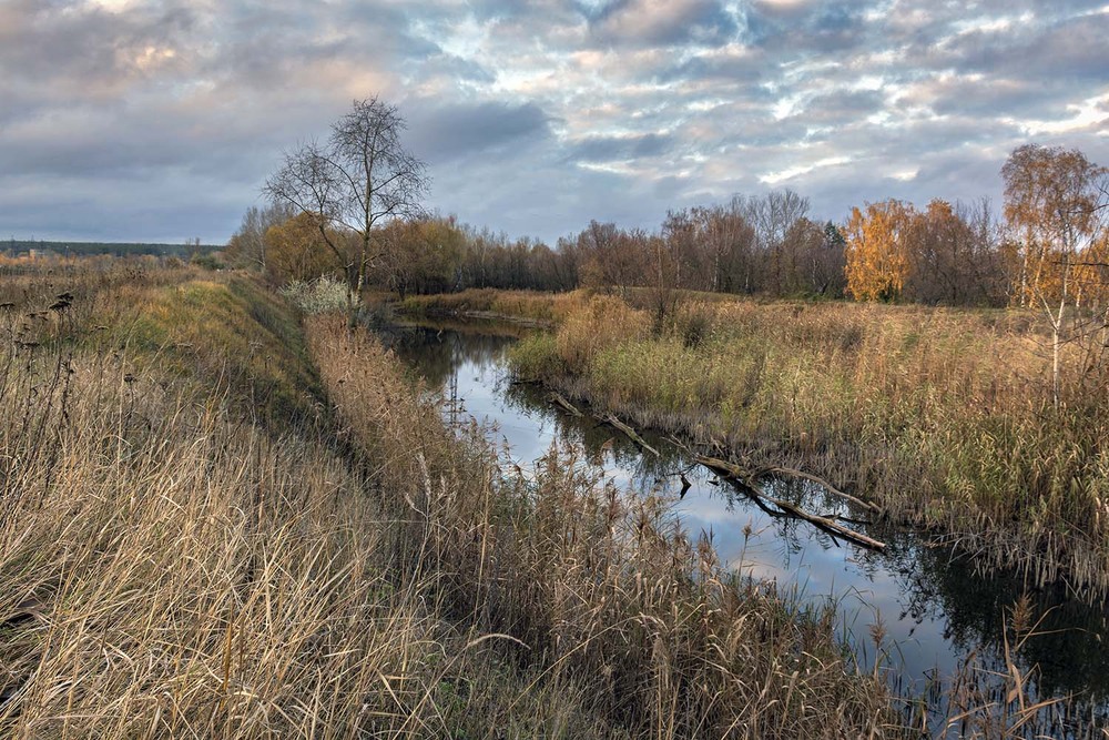 Фотографія *** / Сергій Кузьма / photographers.ua