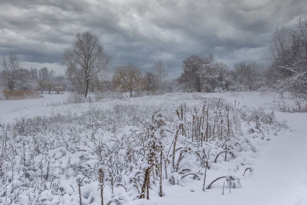 Фотографія *** / Сергій Кузьма / photographers.ua