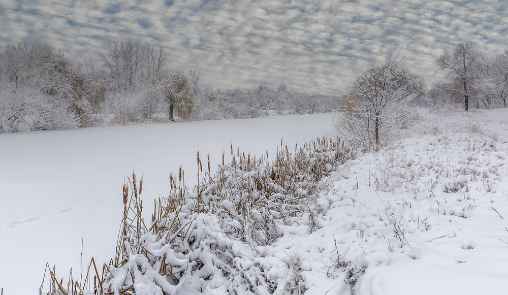 Фотографія *** / Сергій Кузьма / photographers.ua
