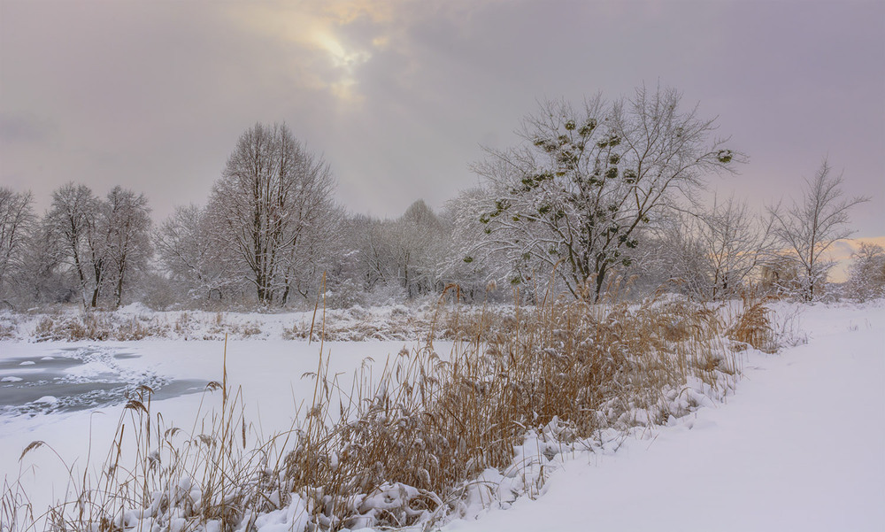 Фотографія *** / Сергій Кузьма / photographers.ua