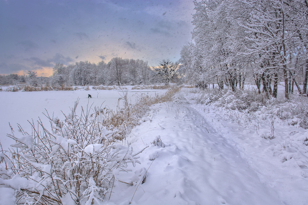 Фотографія *** / Сергій Кузьма / photographers.ua
