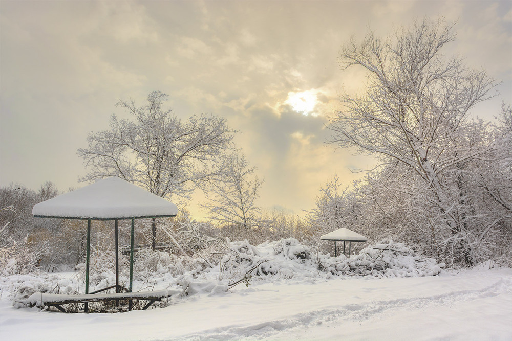 Фотографія *** / Сергій Кузьма / photographers.ua