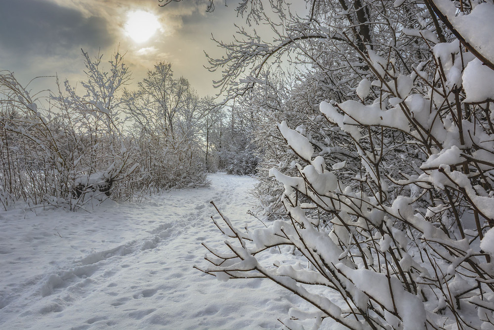 Фотографія *** / Сергій Кузьма / photographers.ua