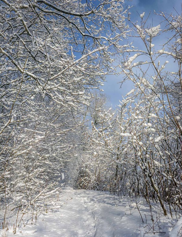 Фотографія *** / Сергій Кузьма / photographers.ua