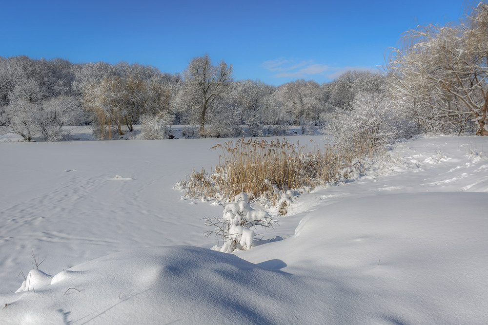 Фотографія *** / Сергій Кузьма / photographers.ua