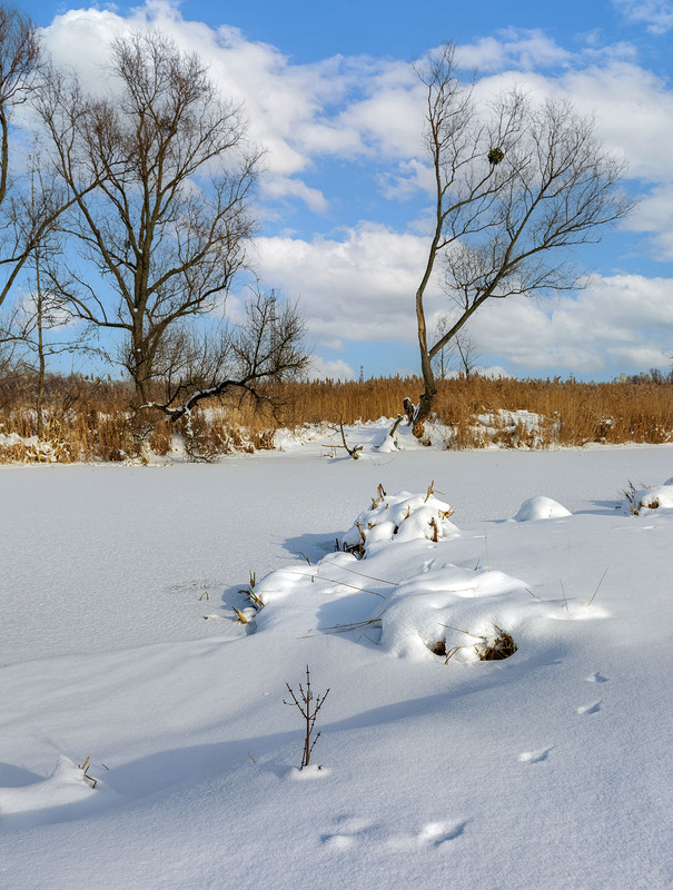 Фотографія *** / Сергій Кузьма / photographers.ua