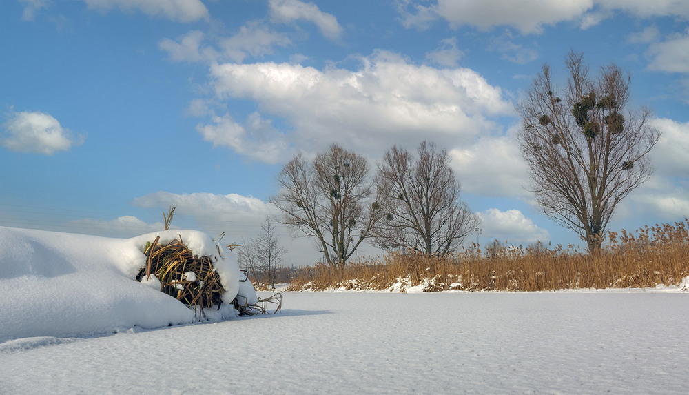 Фотографія *** / Сергій Кузьма / photographers.ua