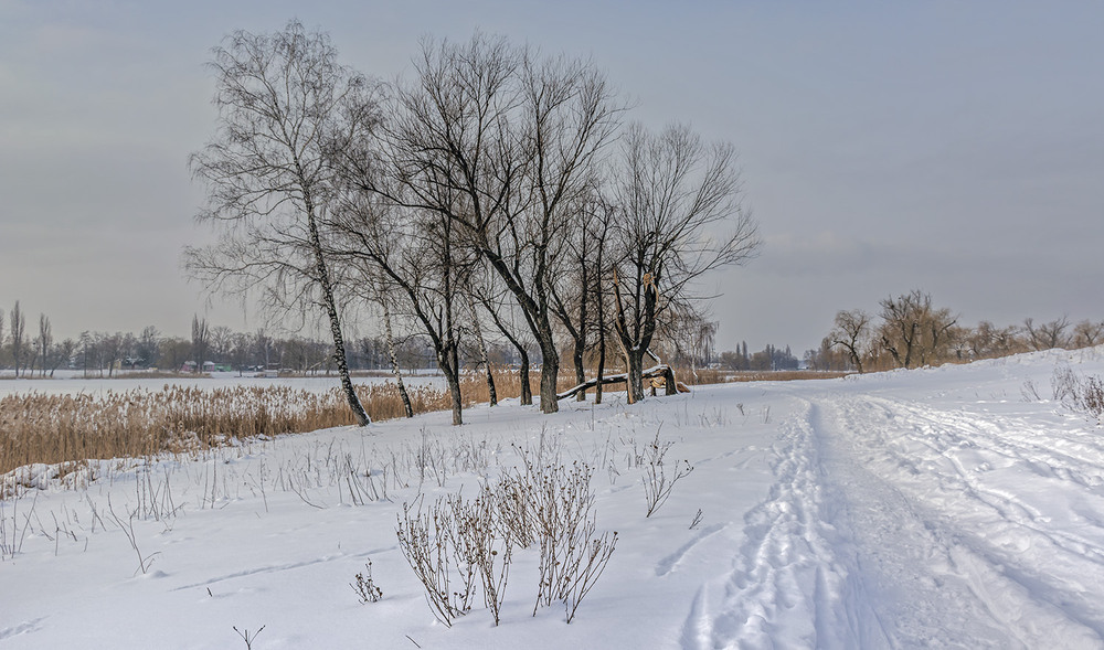 Фотографія *** / Сергій Кузьма / photographers.ua
