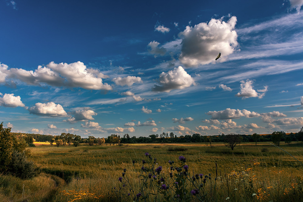 Фотографія *** / Сергій Кузьма / photographers.ua