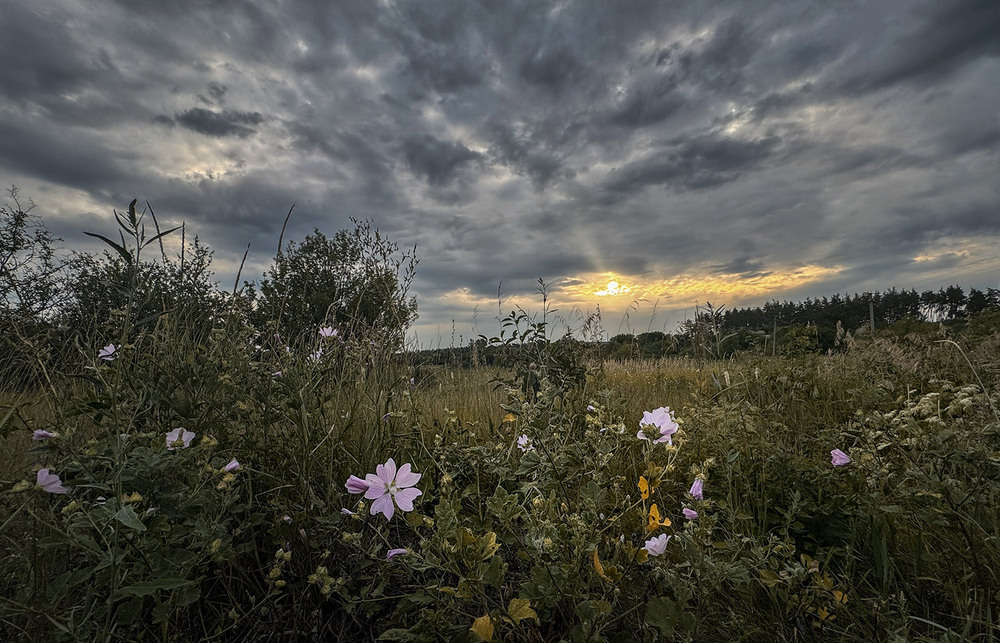 Фотографія *** / Сергій Кузьма / photographers.ua