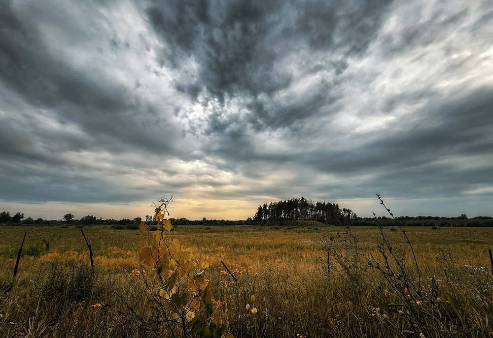 Фотографія *** / Сергій Кузьма / photographers.ua