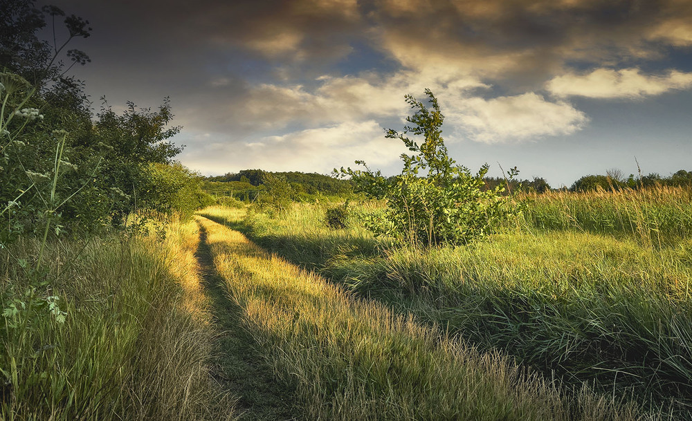 Фотографія *** / Сергій Кузьма / photographers.ua