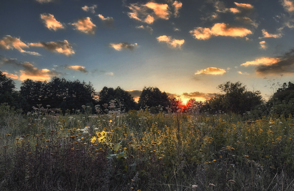 Фотографія *** / Сергій Кузьма / photographers.ua