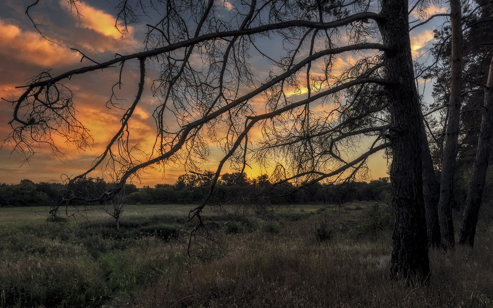 Фотографія *** / Сергій Кузьма / photographers.ua