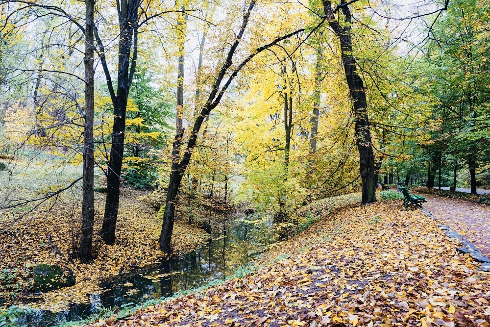 Фотографія Умань, парк «Софіївка» архів / Максим Мєшков / photographers.ua