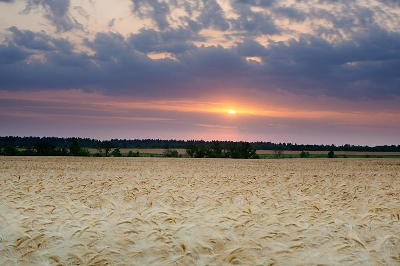 Фотографія *** / Максим Мєшков / photographers.ua